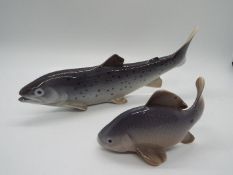 Two Royal Copenhagen fish figurines comprising # 2414 Crucian Carp and # 2676 Rainbow Trout,