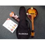 A Berkeley electric mandolin model number RBMIE, with carry case and outer box, unused.