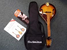 A Berkeley electric mandolin model number RBMIE, with carry case and outer box, unused.