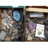 A large quantity of geological and mineral samples, fossils, cast fossil replicas and similar.