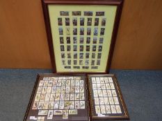 Three framed sets of cigarette and tea cards comprising 'Life in the Tree Tops',