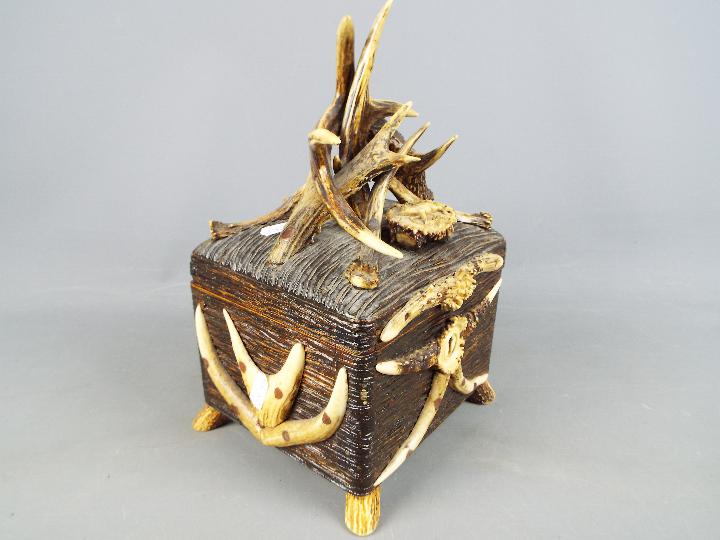 An unusual 19th century carved and horn encrusted casket box, - Image 5 of 5