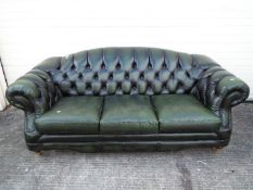 A green leather, three seat, Chesterfield sofa.