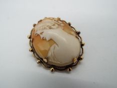 A yellow metal cameo brooch, approximately 4 cm x 3.5 cm.