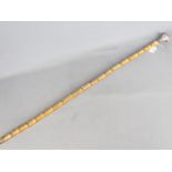 A bamboo cane with white metal grip, probably Indian Silver,