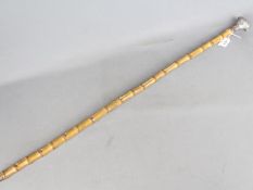 A bamboo cane with white metal grip, probably Indian Silver,