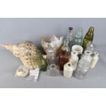A collection of vintage bottles, stoneware jars, tropical shells with annotated examples.