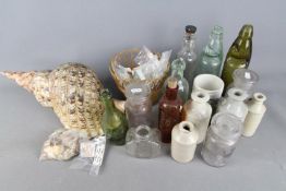 A collection of vintage bottles, stoneware jars, tropical shells with annotated examples.