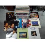 A collection of 12" vinyl records to include Cat Stevens, The Small Faces, Bruce Springsteen,