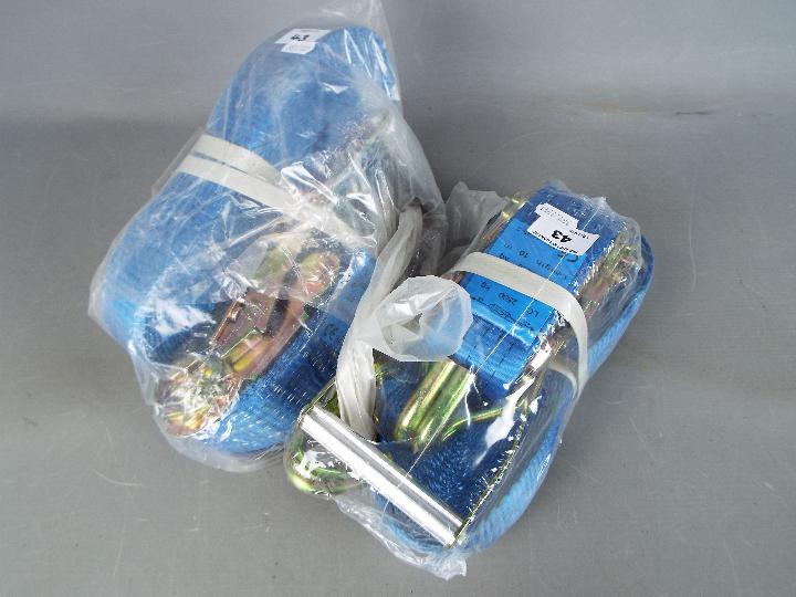 Two unused lorry straps and clips 2 x 33 (lor2c) This lot must be paid for and collected (or