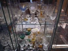 Glassware - a large quantity of drinking glasses with various design and sizes.