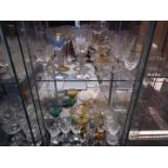 Glassware - a large quantity of drinking glasses with various design and sizes.