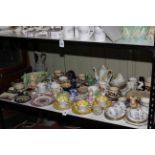 Shelf collection of Sylvac, Belleek, Torquay Ware, Royal Grafton, etc.