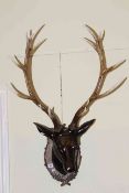 Composite model of stags head on shield style mount.