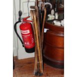 Collection of walking sticks including a silver collared cane.
