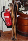 Collection of walking sticks including a silver collared cane.