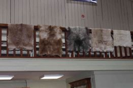 Five various skin rugs.