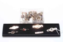 Box of vintage silver charms and six assorted brooches.