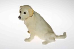 Winstanley Yellow Labrador Dog, size 5.