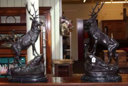 Pair large bronze Highland Stags on marble bases, 74cm.