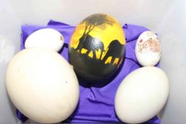 Five ostrich eggs, some hand painted.