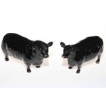 Beswick Aberdeen Angus bull and cow, 1562 and 1563.