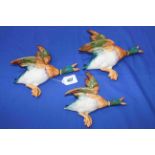 Set of three Beswick graduated flying ducks, 596-1, 2 and 3.