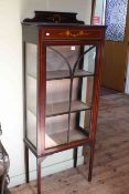 Edwardian mahogany single door vitrine with painted decoration, 150cm by 59cm.