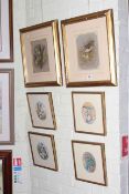 Paul Dawson, pair ornithological watercolours and set of four ornithological oval pictures (6).