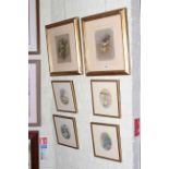 Paul Dawson, pair ornithological watercolours and set of four ornithological oval pictures (6).