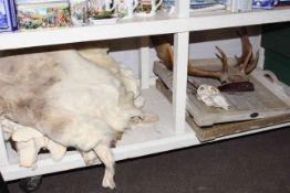 Four animal skins, two antlers and two wooden trays.