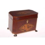 Shell inlaid mahogany tea caddy on brass paw feet.