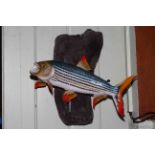 A mounted taxidermy of a tiger fish, caught in Lake Victoria, 43cm by 43cm.