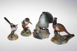 Collection of four Royal Crown Derby birds; Kingfisher, Pheasant, Pigeon and Long Tailed Tit.