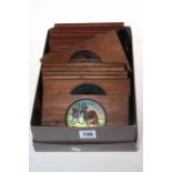 Collection of nineteen Bernard Davis lantern slides.
