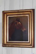 R. Slack, Horse Study, oil on canvas, signed and dated 1907 lower right, 35cm by 29cm,