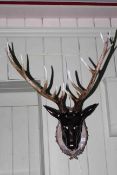 Composite model of stags head on shield style mount.