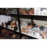 Shelf collection of Sadler and other novelty teapots, ceramic whisky bottles and jugs, decanters,
