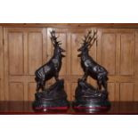 Pair of large impressive bronze stags on rocky outcrops, raised on marble plinths, 75cm high.