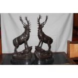 Pair of large impressive bronze stags on rocky outcrops, raised on marble plinths, 75cm high.