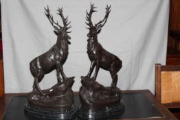 Pair of large impressive bronze stags on rocky outcrops, raised on marble plinths, 75cm high.