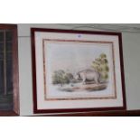 William Cornwallis Harris, The Hippopotamus, 19th Century lithograph in glazed frame,
