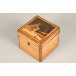 19th century Sorrento tea caddy in olive wood, hinged cover with fisherman, opening to reveal a