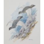 Brian Rawling ARR Framed watercolour, signed, dated 82' 'Ptarmigan Downhill' 32cm x 36cm Provenance: