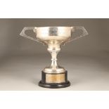 Large silver twin handled trophy with plinth, 'Ayr Flower Show, The Frank Codona Trophy; Sheffield