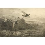 Archibald Thorburn (Scottish 1860-1935) Framed monochrome print, signed in pencil 'Flight of Red