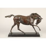 Charlie Langton ARR Bronze sculpture 1/12 2008 'Dancing Stallion' 93cm x 58cm
