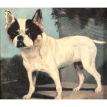 British School (19th century) Framed print on canvas, laid on panel 'French Bulldog in a Landscape'