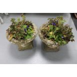 A pair of weathered concrete garden planters