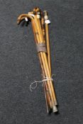 A collection of walking sticks including horn and antique ivory mounted items together with two